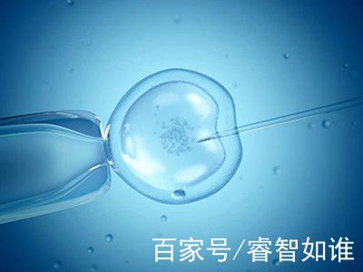 关于素竹生殖